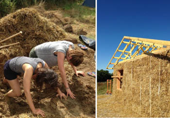 straw houses